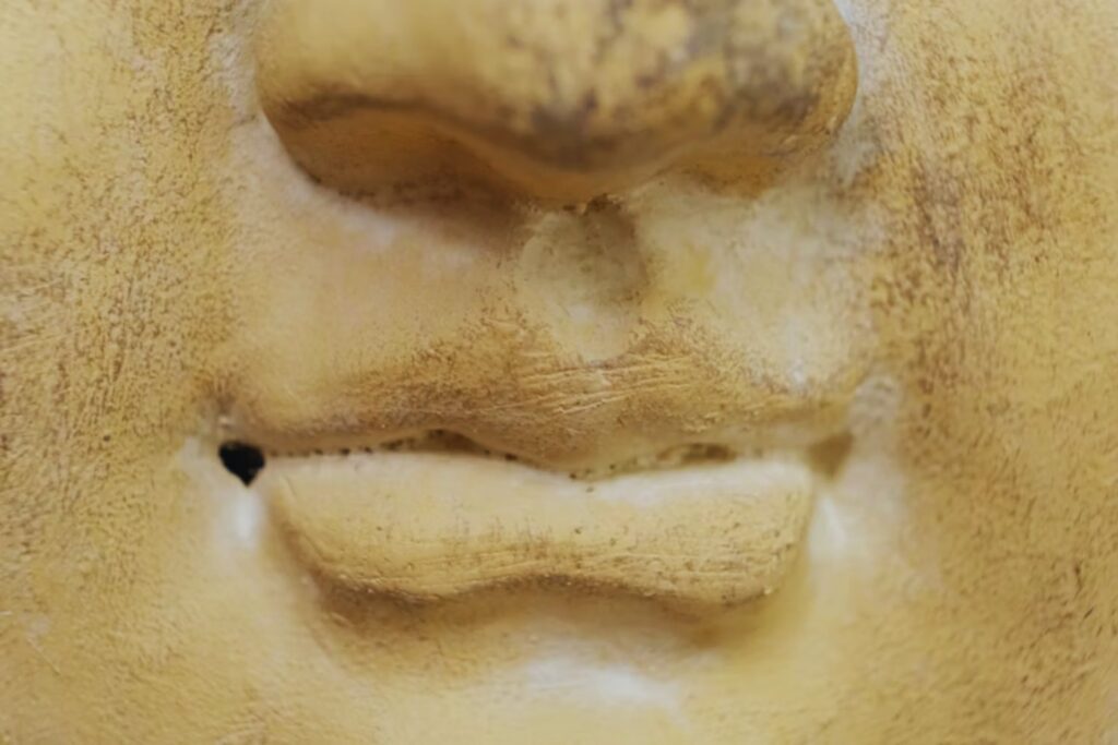 Bomberos descubren en Kazajistán una talla en piedra que desconcierta a los arqueólogos. El enigmático rostro podría reescribir parte de la historia de las estepas