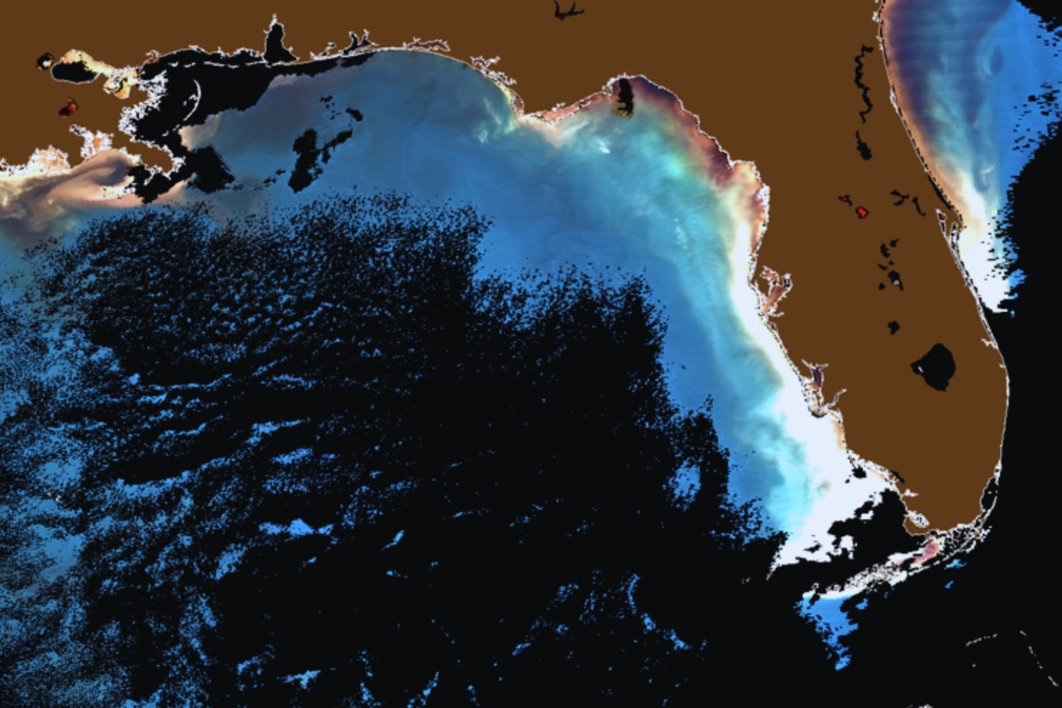 Una franja marrón del tamaño de un continente conecta África y América: el récord de sargazo en 2025 alarma a los científicos