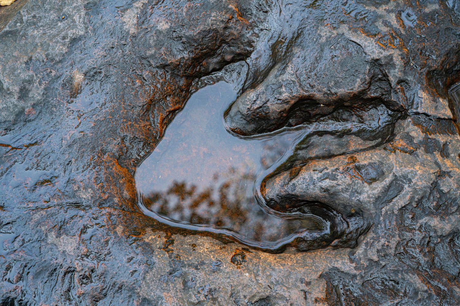 Diseño Sin Título 2025 09 18t135436.179