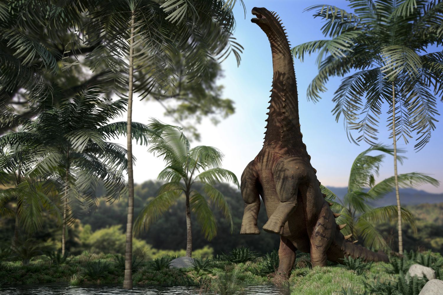 Diseño Sin Título 2025 09 18t135640.206