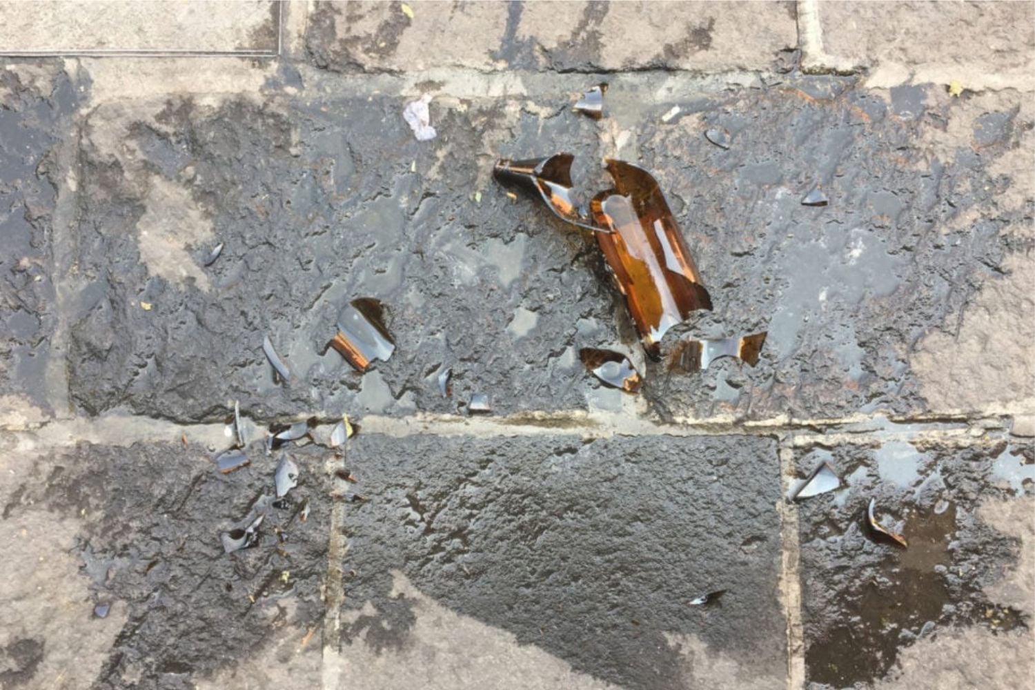 Diseño Sin Título 2025 09 19t101048.187