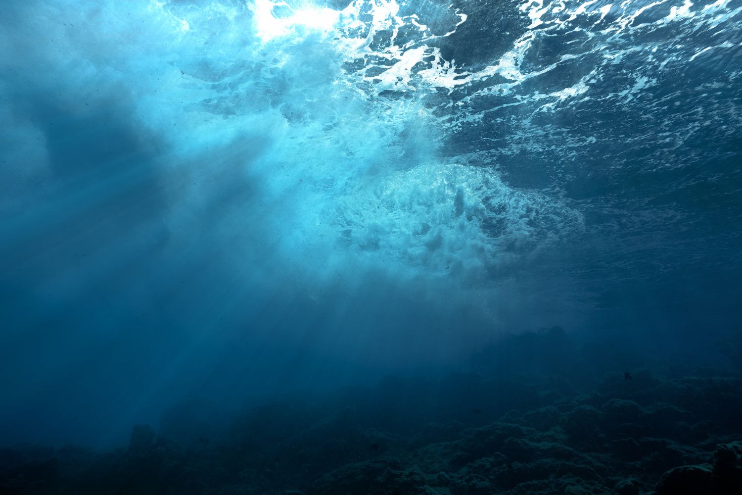 Diseño Sin Título 2025 09 20t111718.536