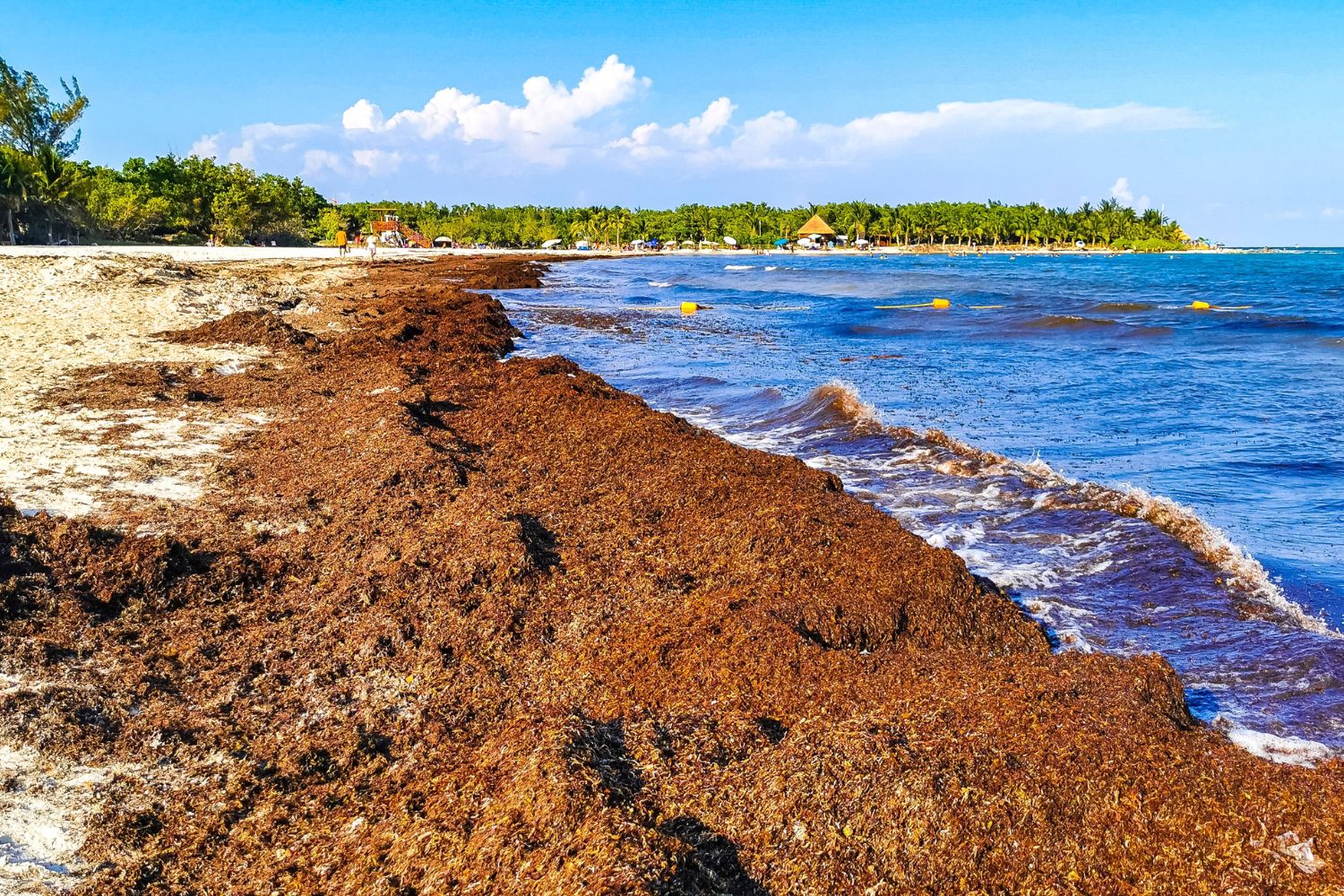 Diseño Sin Título 2025 09 20t111835.507