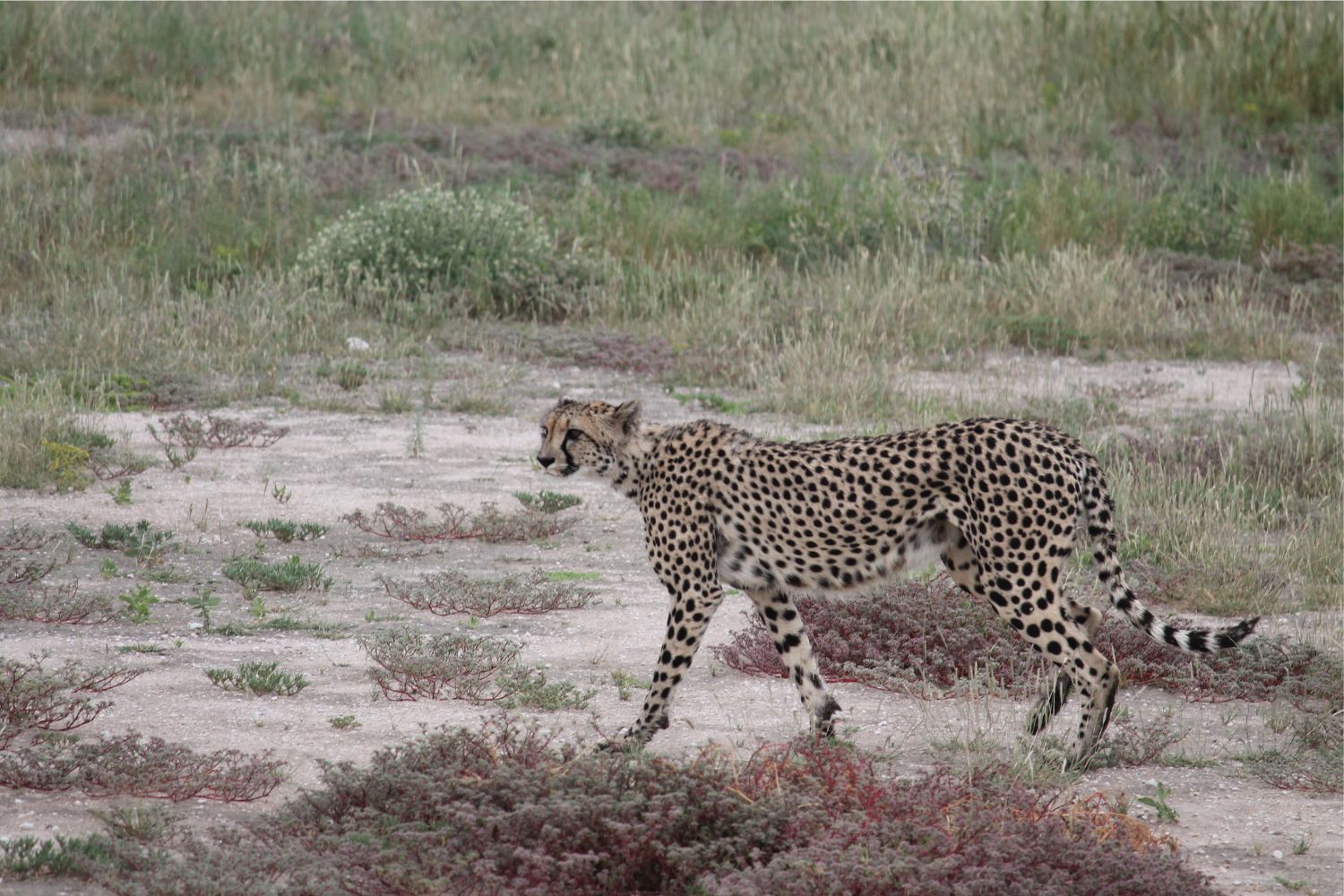 Diseño Sin Título 2025 09 28t082304.662