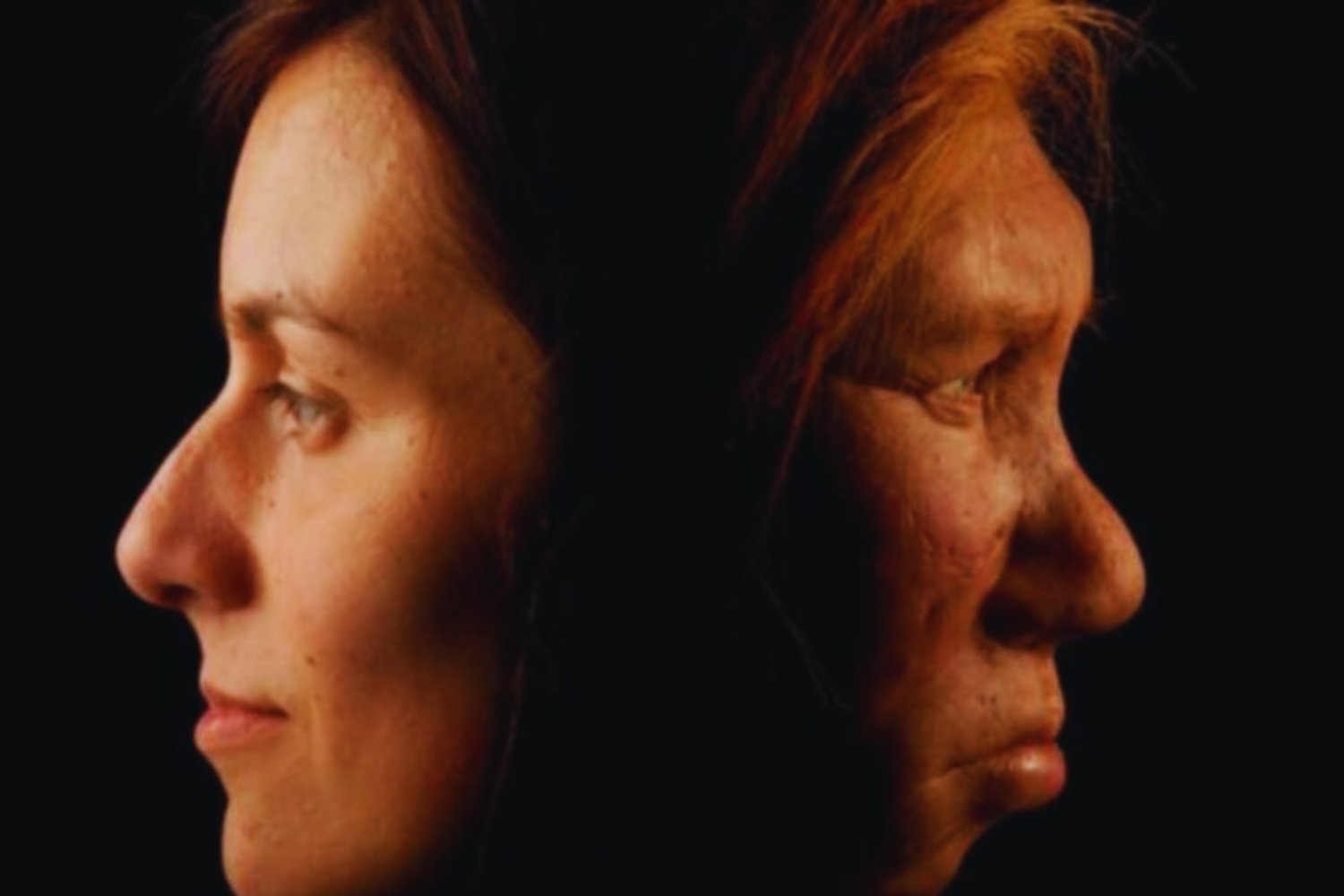 ¿Cómo sonaban los neandertales? La reconstrucción de su voz revela un tono agudo, nasal y muy distinto a lo que imaginábamos