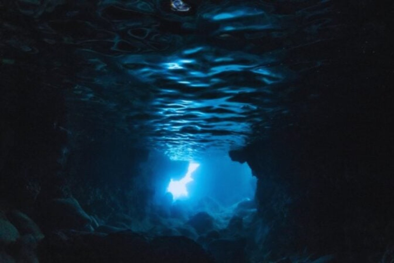 A 9.000 metros bajo el mar apareció un ecosistema que nadie esperaba: así es la vida donde creíamos que no podía existir