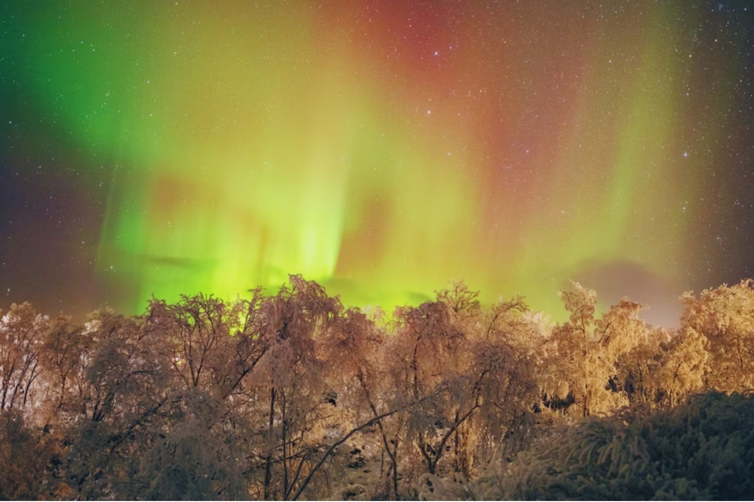 Durante décadas estudiamos las auroras como un espectáculo del norte: esta tormenta solar “caníbal” hará que se extiendan mucho más allá