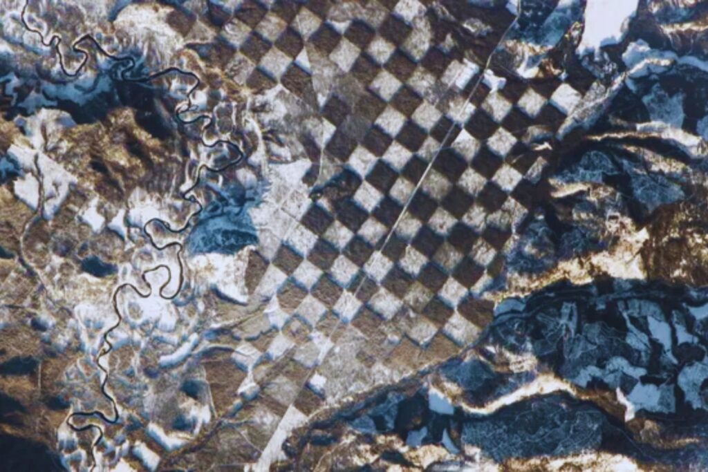 El bosque que juega al ajedrez. Una estrategia humana de hace 200 años que aún se ve desde el espacio
