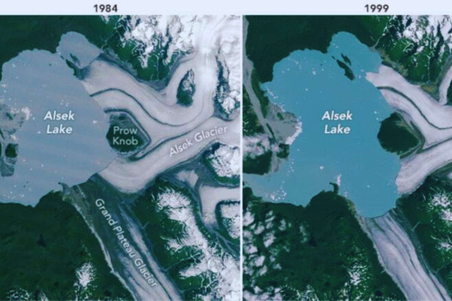 El retroceso del glaciar Alsek en Alaska acaba de revelar algo inesperado: una isla que no existía hace apenas unas décadas