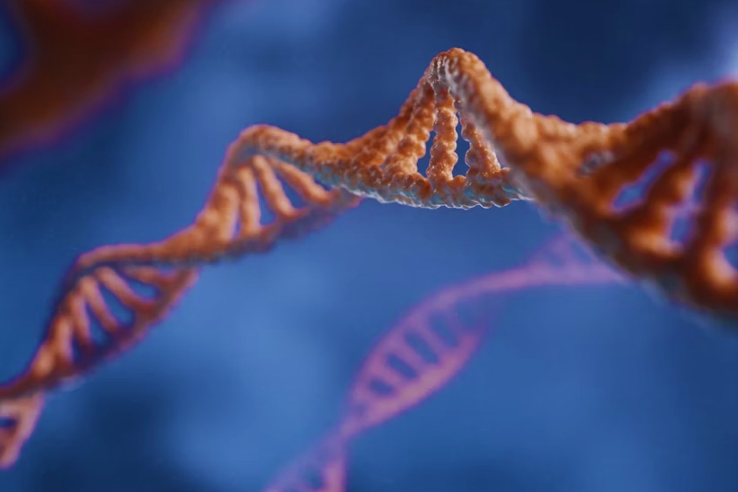 La evolución del lenguaje estaba escrita en los genes. Un relato oculto que une biología y palabras