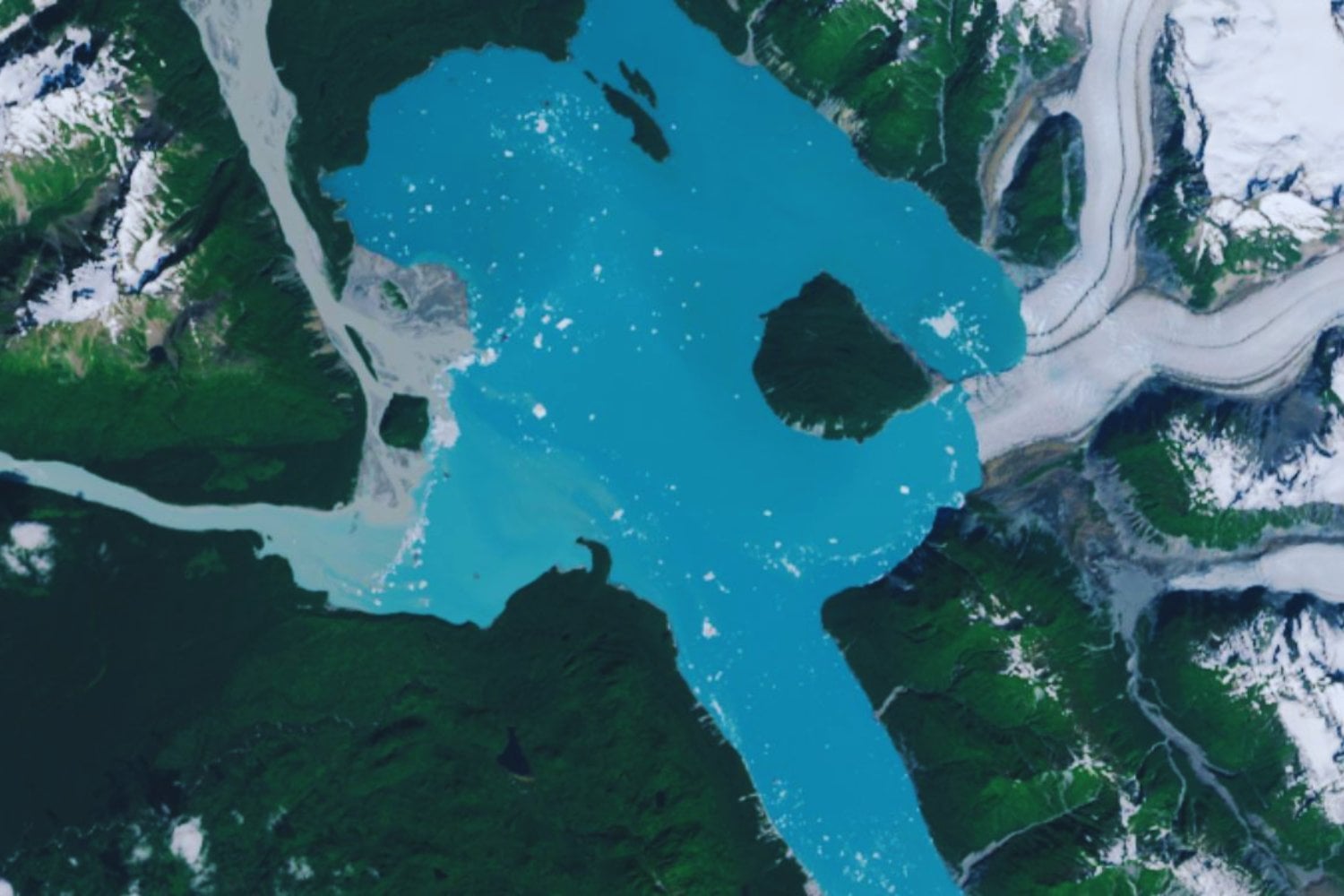 El retroceso del glaciar Alsek en Alaska acaba de revelar algo inesperado: una isla que no existía hace apenas unas décadas