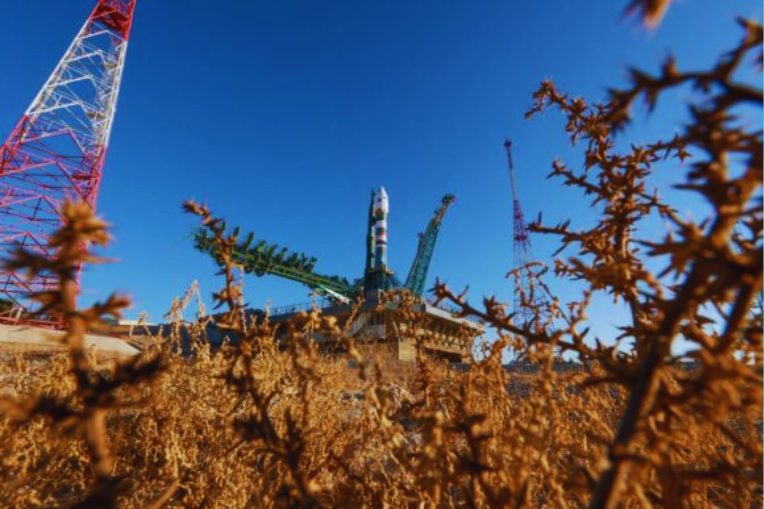 El nuevo experimento de Roscosmos parece ciencia ficción: un “arca de Noé” en órbita con ratones, semillas y células vivas que viajó 30 días para estudiar cómo resiste la vida en el espacio