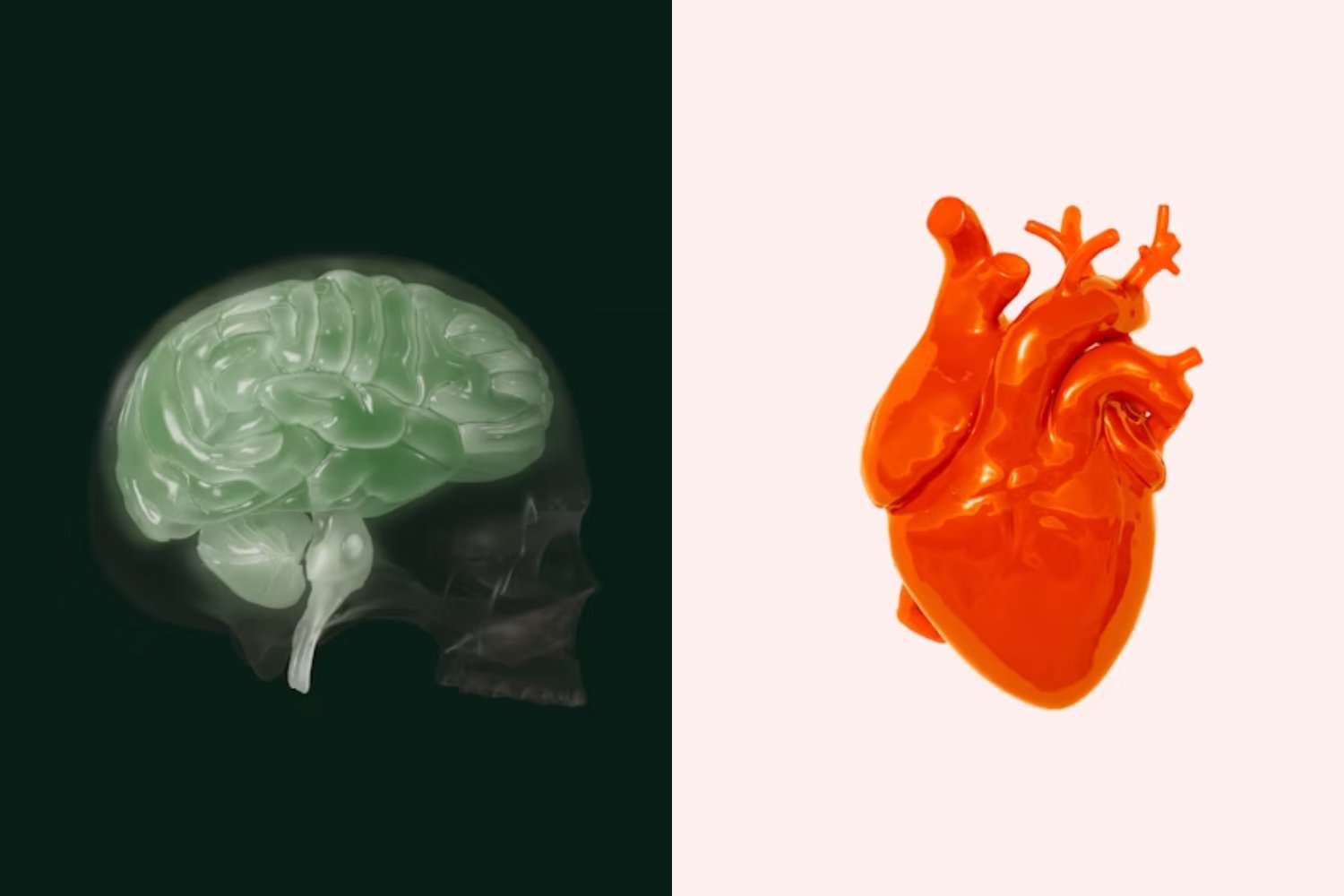La conexión invisible entre cerebro y corazón. Cómo las emociones moldean nuestra salud más de lo que imaginamos