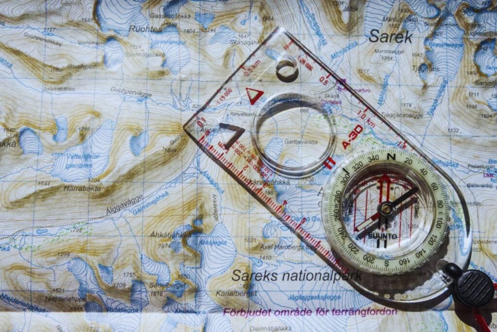 Volver al origen: la navegación con el campo magnético terrestre reaparece en el momento más inesperado
