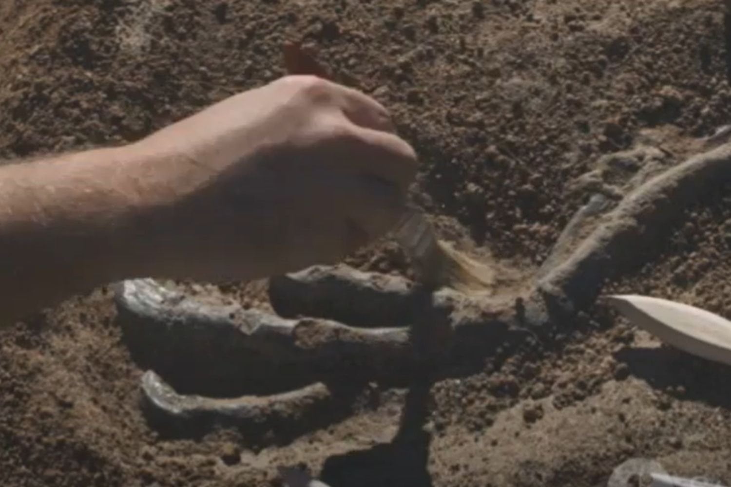 Las momias de 7.000 años que desconciertan a la ciencia. En el Sáhara apareció un linaje humano desconocido y aislado durante milenios