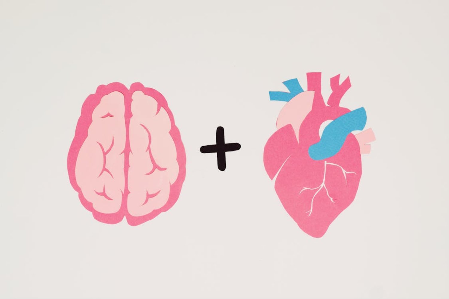 La conexión invisible entre cerebro y corazón. Cómo las emociones moldean nuestra salud más de lo que imaginamos