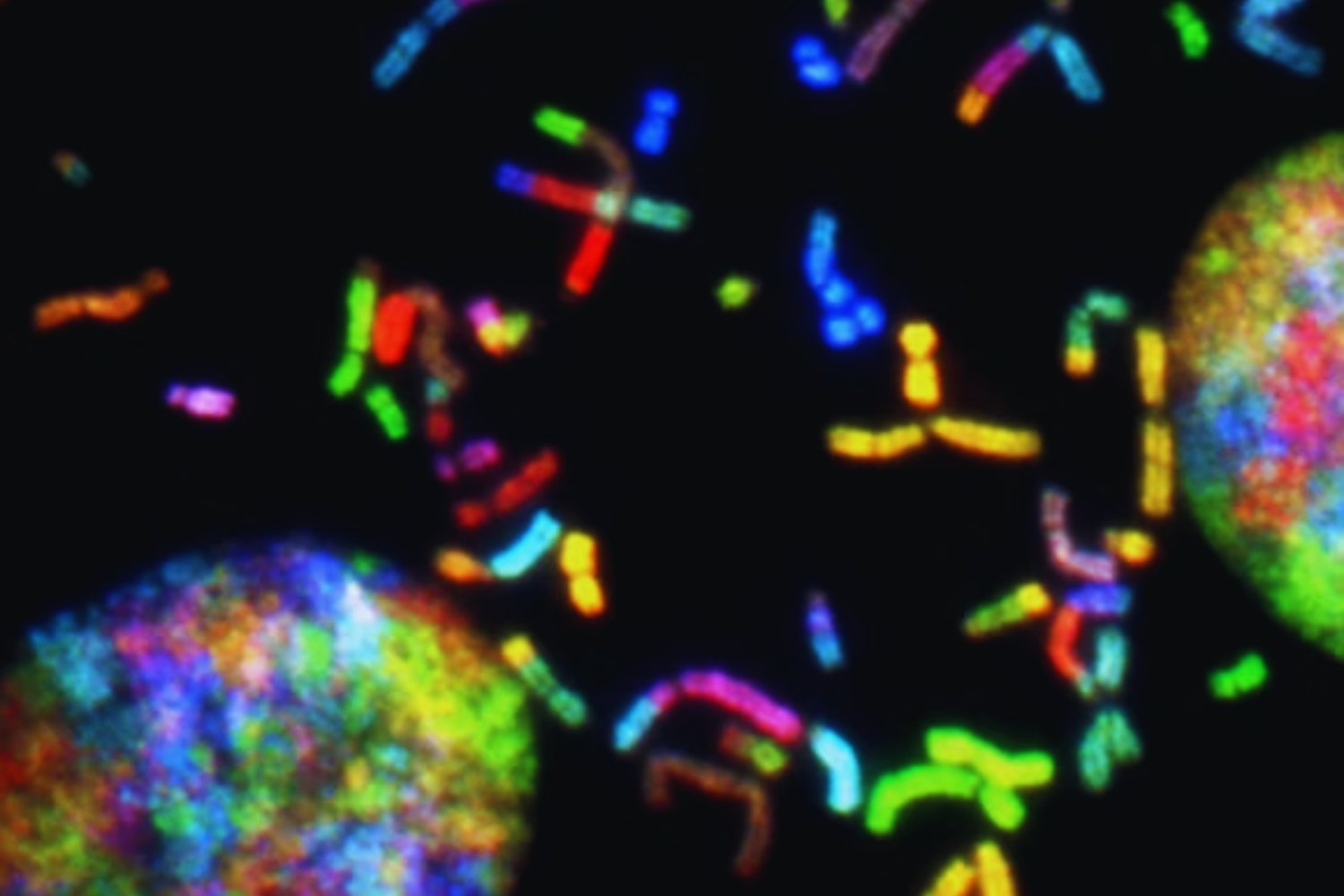 La evolución ya no depende solo de nuestros genes: la cultura estaría tomando el control de nuestro futuro como especie