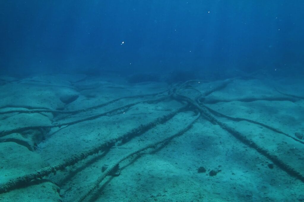 Los cables submarinos ya no son de las telecos. Ahora los controlan Google, Meta, Microsoft y Amazon y eso cambia Internet para siempre