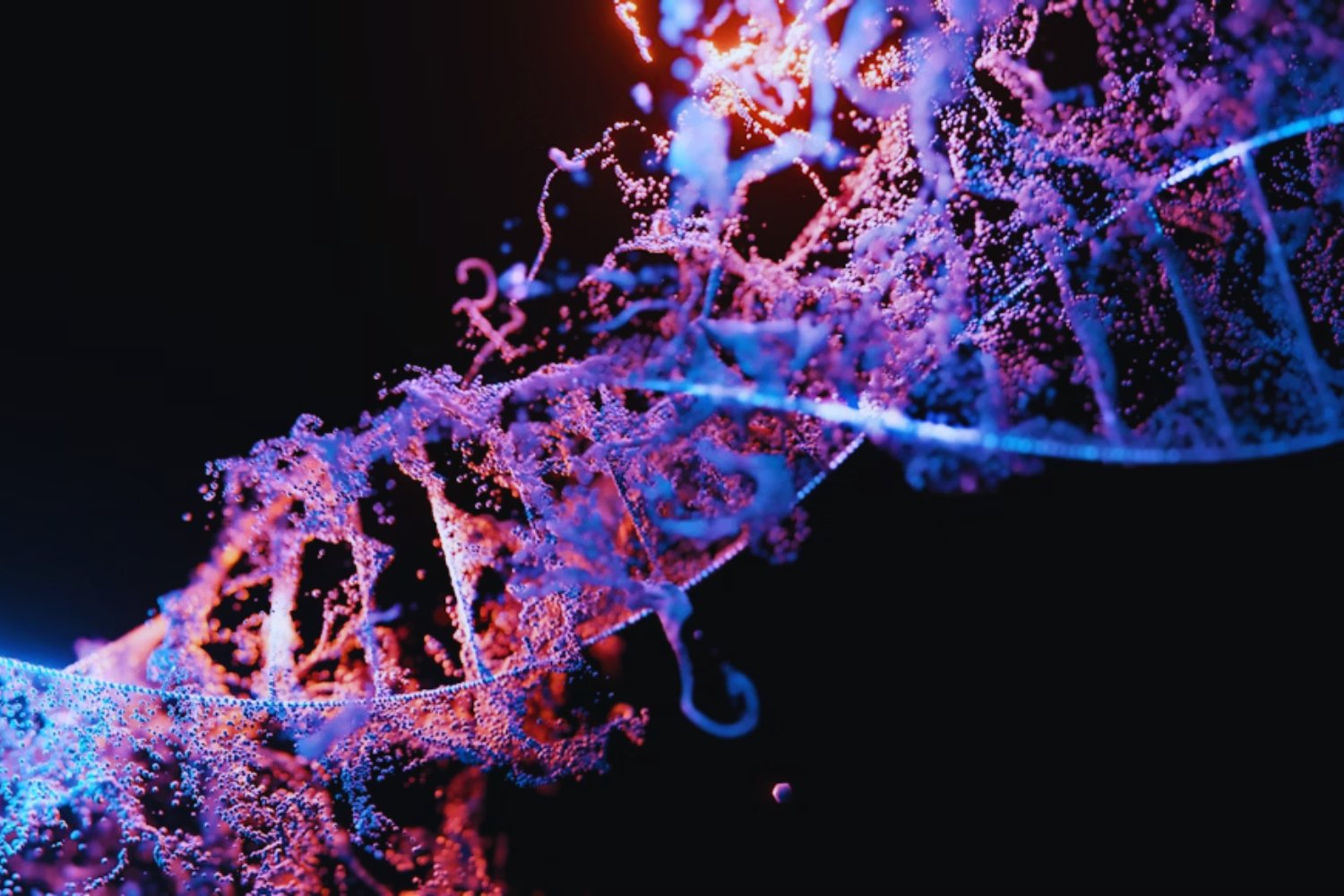 La evolución ya no depende solo de nuestros genes: la cultura estaría tomando el control de nuestro futuro como especie