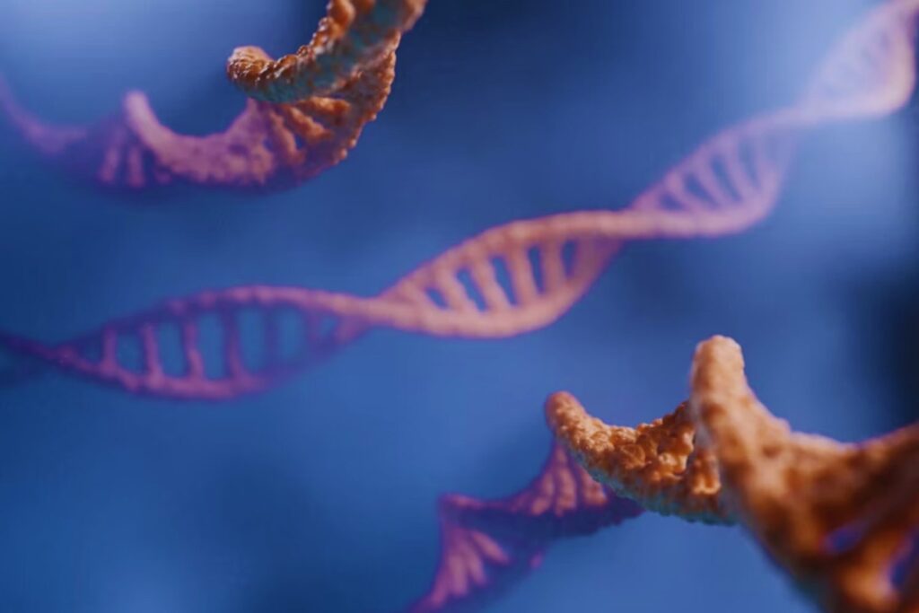 El 8 % de tu ADN son restos de virus antiguos: investigadores reconstruyen HERV-K, un fósil genético ligado a enfermedades actuales