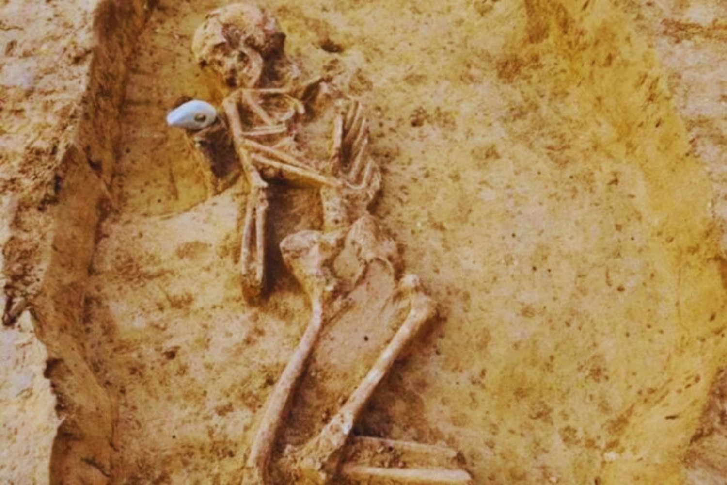 Un tramo de autopista destapó un secreto de 4000 años: la necrópolis gigante que revela cómo los Nitra se enfrentaban a la muerte