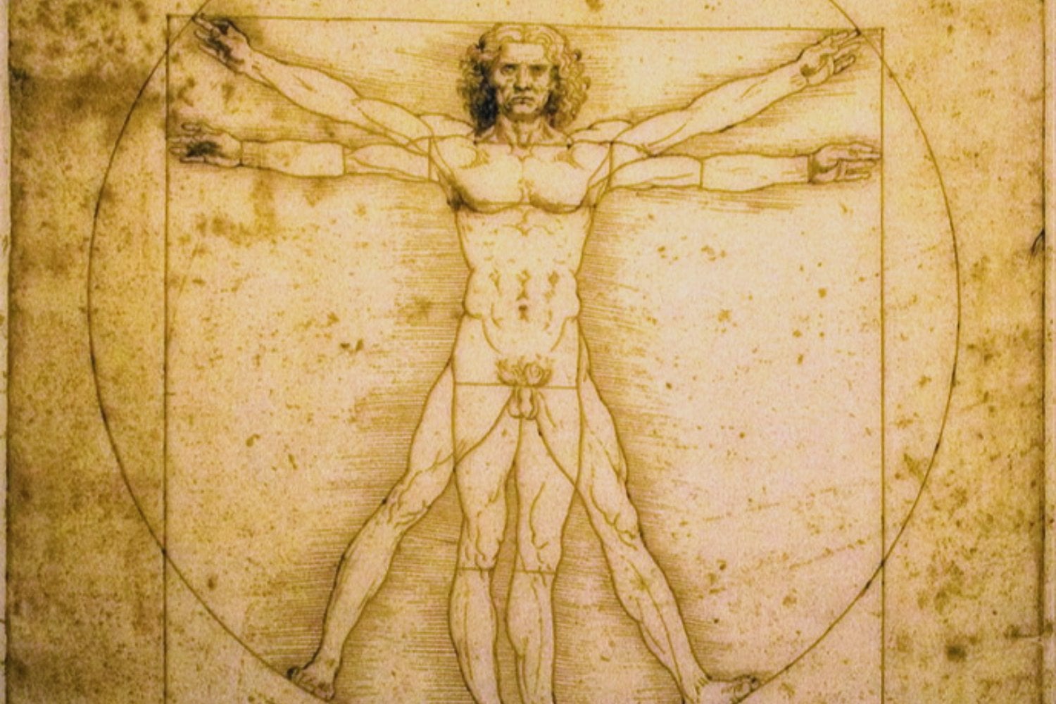 Cuando el cuerpo se convierte en ecuación. El mito de la proporción áurea y la eterna búsqueda de un orden matemático en el universo