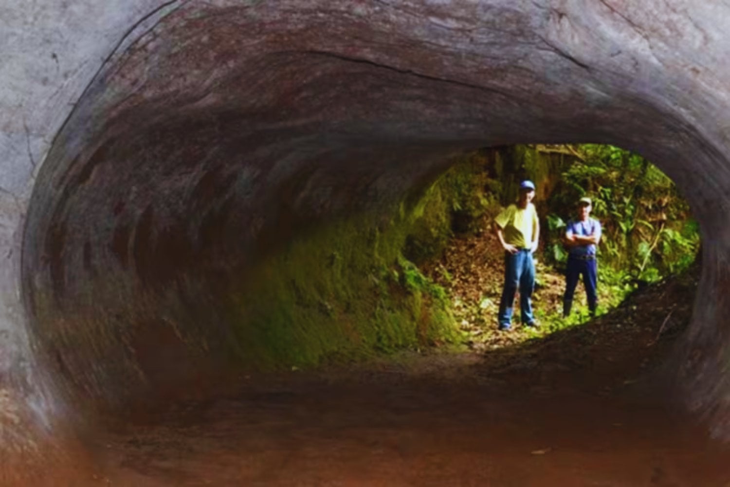 No son cuevas ni minas. Los túneles encontrados en Brasil apuntan a unos excavadores que parecían sacados de una fábula prehistórica