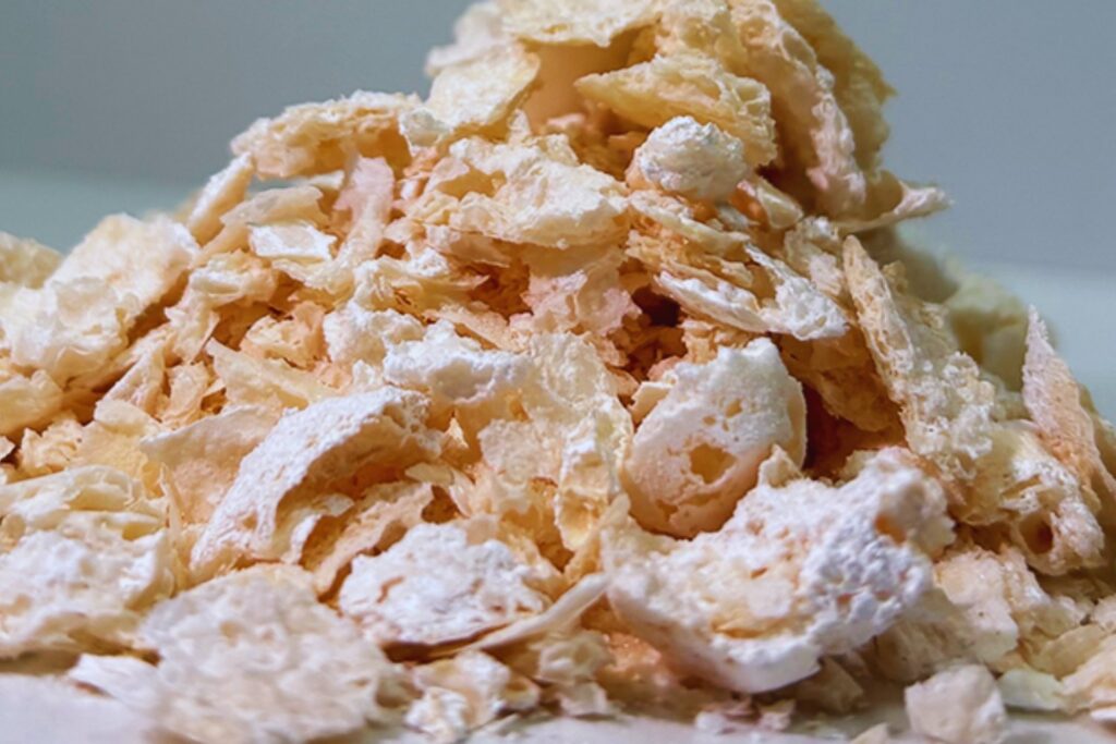 Un bioplástico nacido en Japón desafía la dependencia del petróleo. El secreto está en una bacteria común y un metabolismo afinado al detalle.