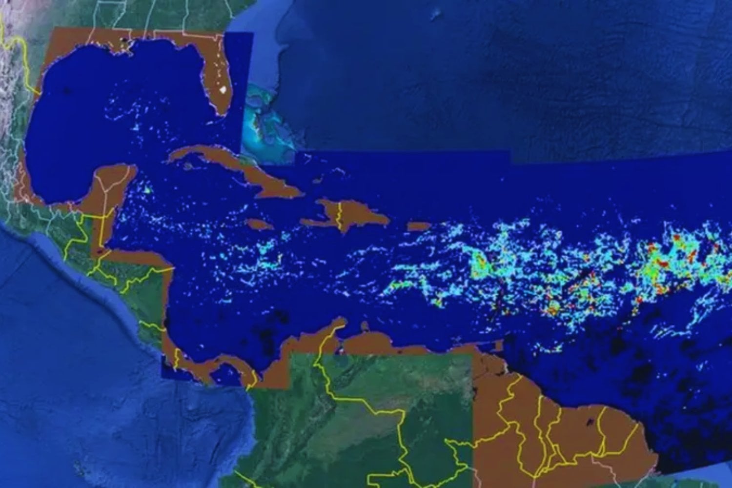 Una franja marrón del tamaño de un continente conecta África y América: el récord de sargazo en 2025 alarma a los científicos