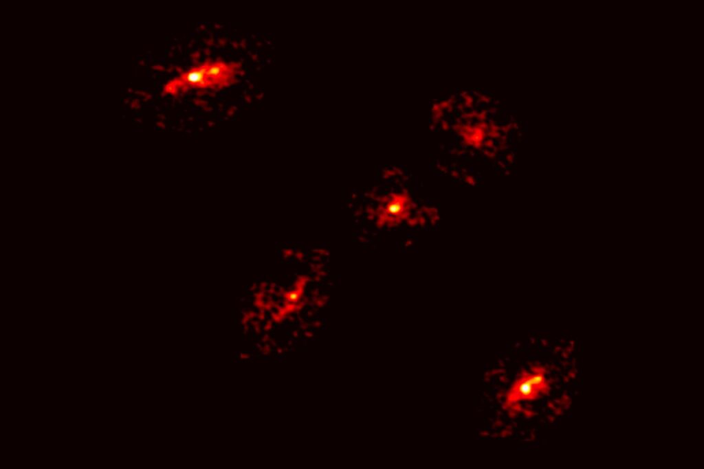 Materia oscura al descubierto: la extraña Cruz de Einstein que mostró una quinta imagen imposible