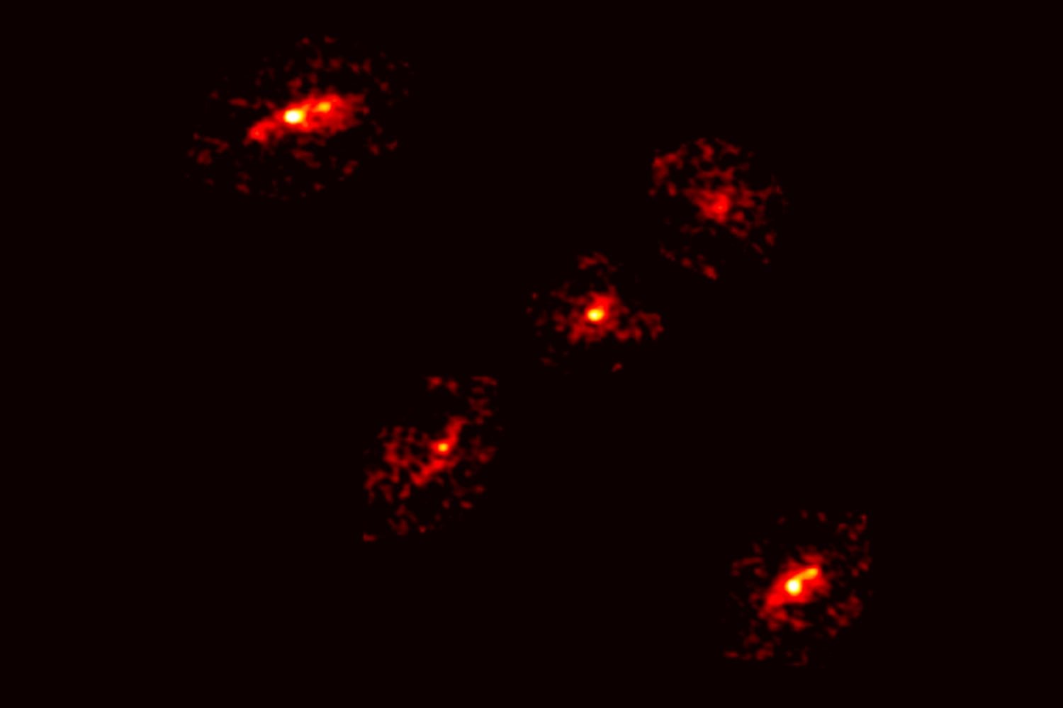 Materia oscura al descubierto: la extraña Cruz de Einstein que mostró una quinta imagen imposible