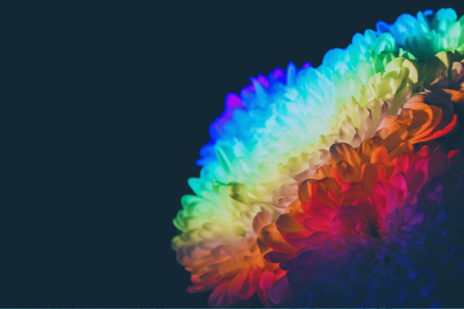 Tu cerebro no guarda lo que crees. Los científicos descubrieron que los recuerdos emocionales pueden “rescatar” hasta lo irrelevante y dejar de lado lo esencial