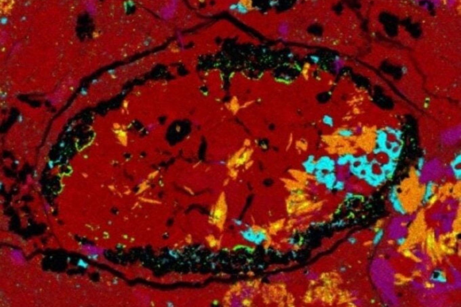 Diseño Sin Título (41)