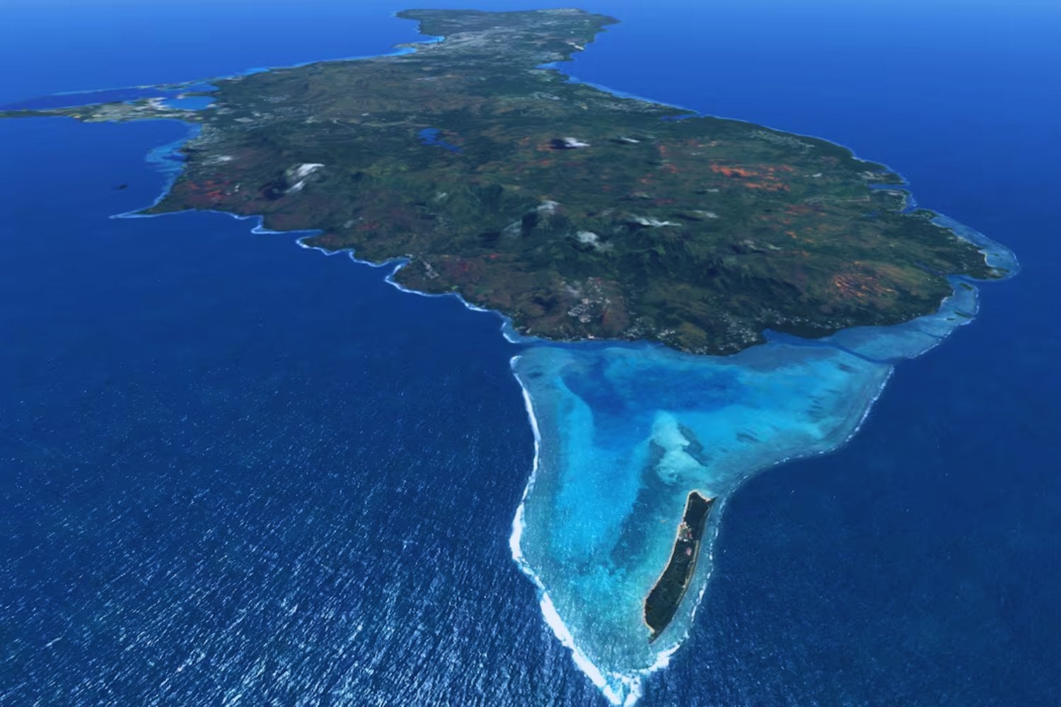 Un error militar cambió Guam para siempre: serpientes invasoras devoraron a las aves y ahora la isla está cubierta por miles de millones de arañas