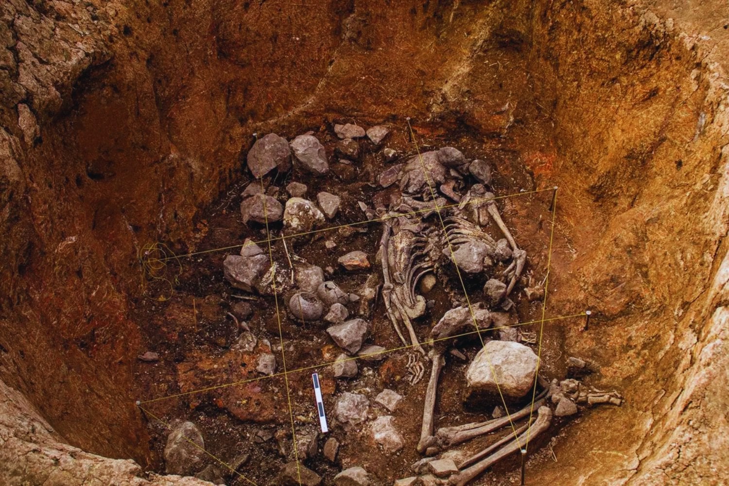 Pacopampa, el lugar donde un entierro de 3.000 años reescribe la historia de la religión andina