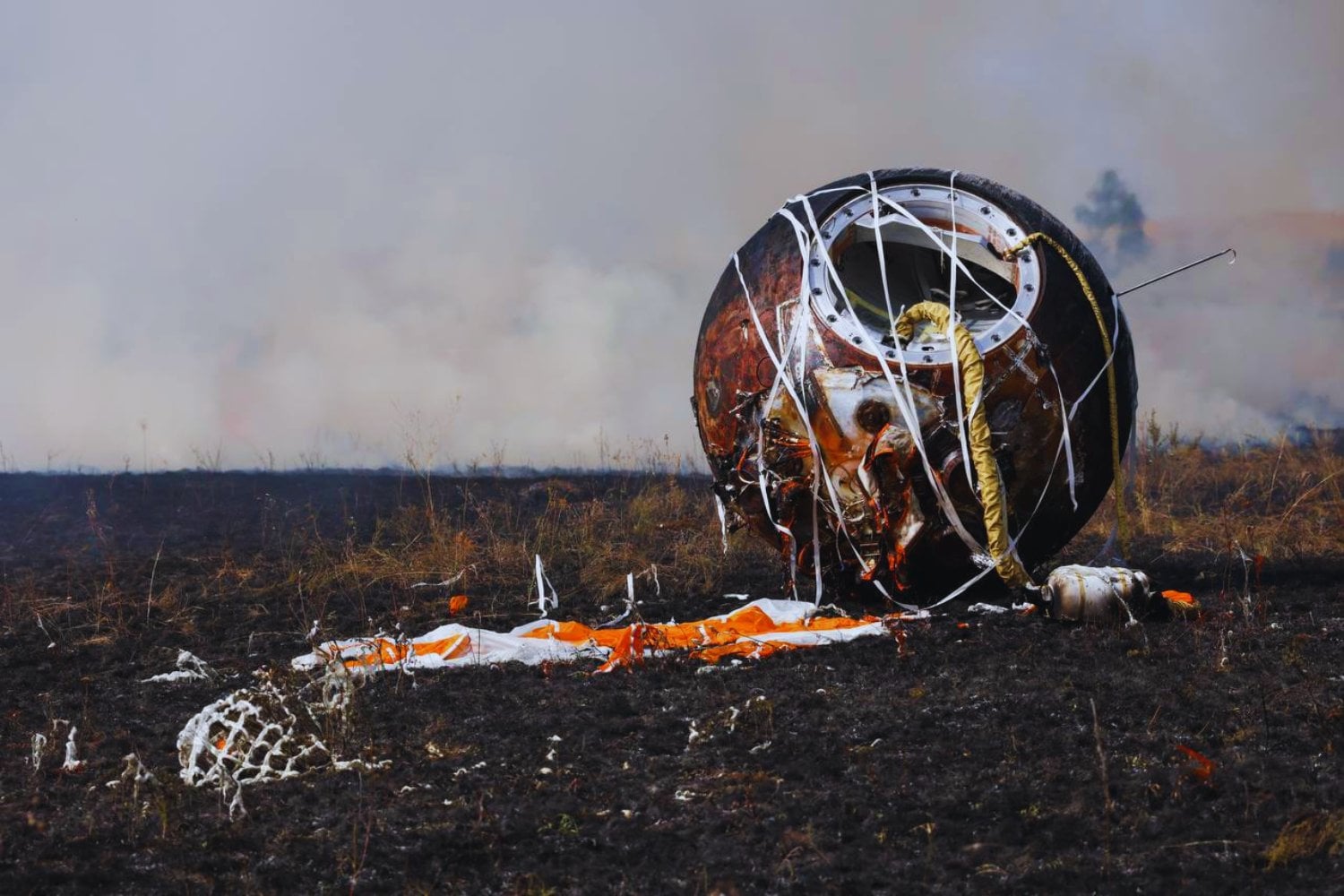 Bión M2: la cápsula soviética que volvió en 2025 con 75 ratones a bordo y un aterrizaje entre fuego y misterio