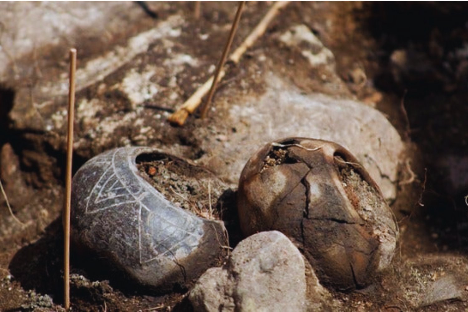 Pacopampa, el lugar donde un entierro de 3.000 años reescribe la historia de la religión andina