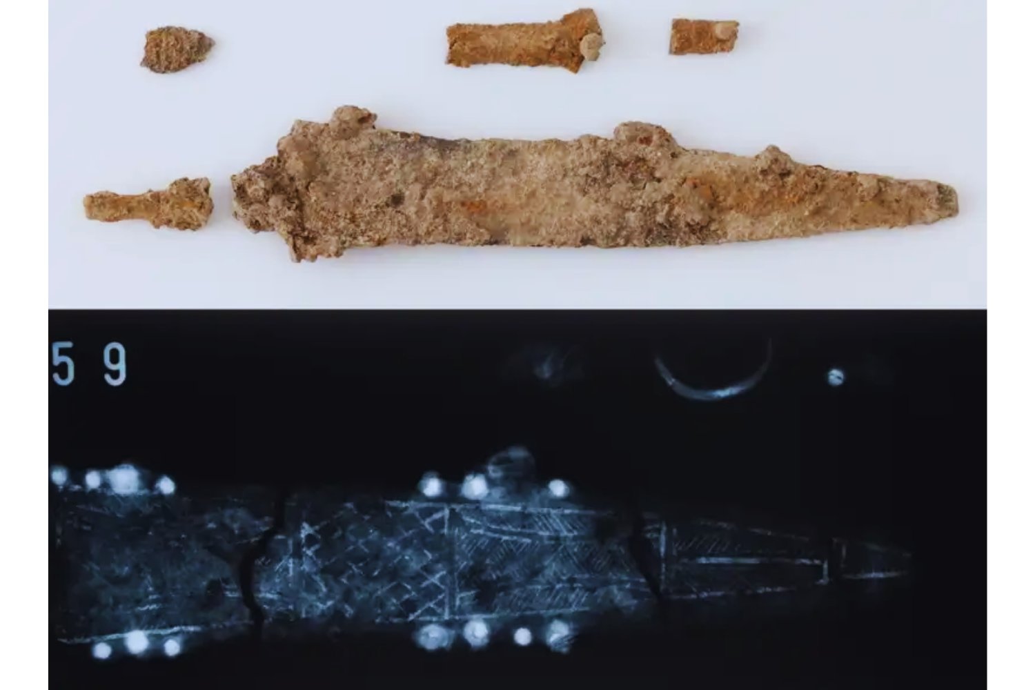 La fosa que nadie esperaba en Viena. Más de 150 guerreros romanos enterrados sin explicación