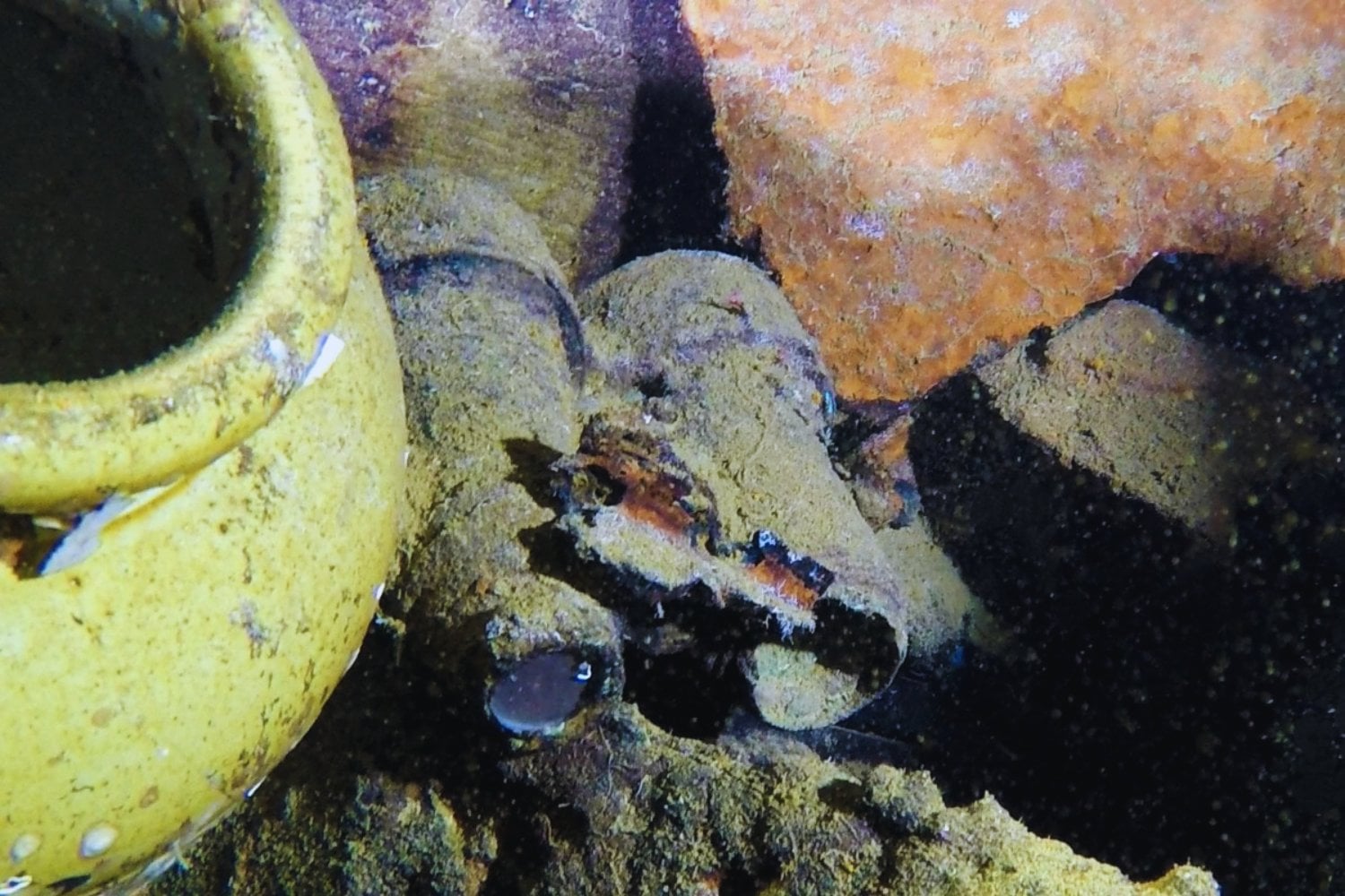 El Britannic vuelve a hablar desde el fondo del mar: descubren piezas valiosas del gemelo del Titanic en Grecia