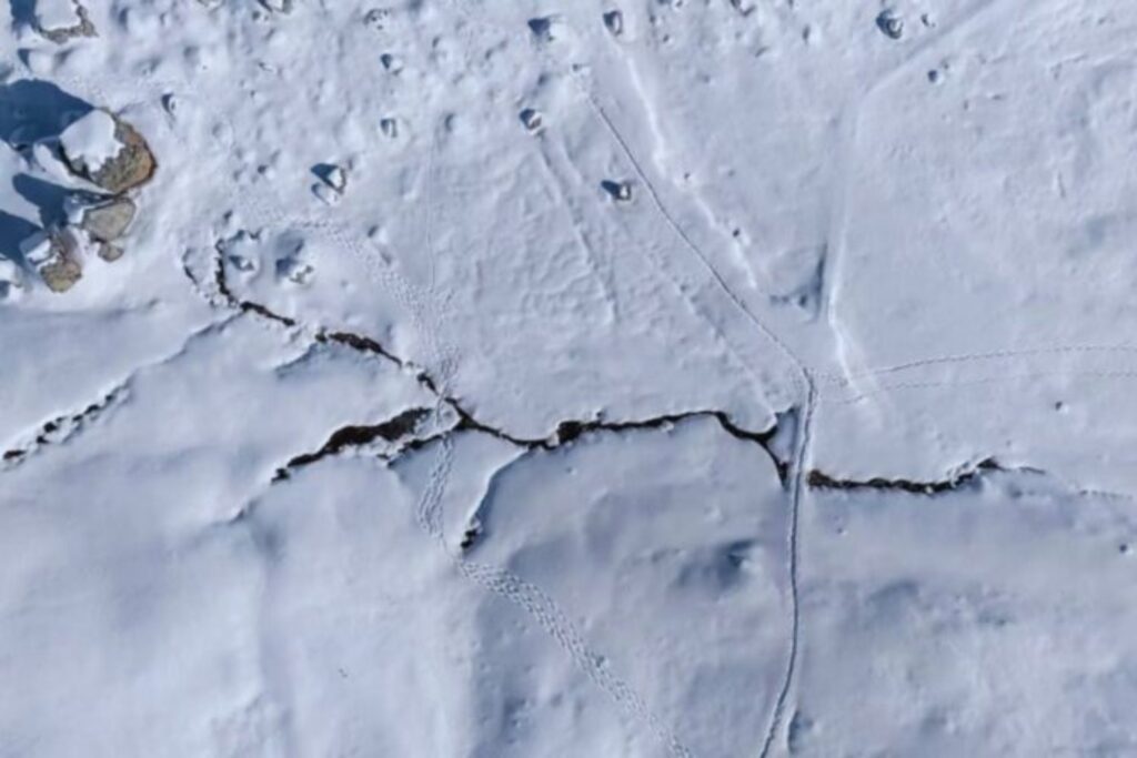 Como en la Era del Hielo: el mundo oculto bajo la Antártida empieza a revelar sus secretos
