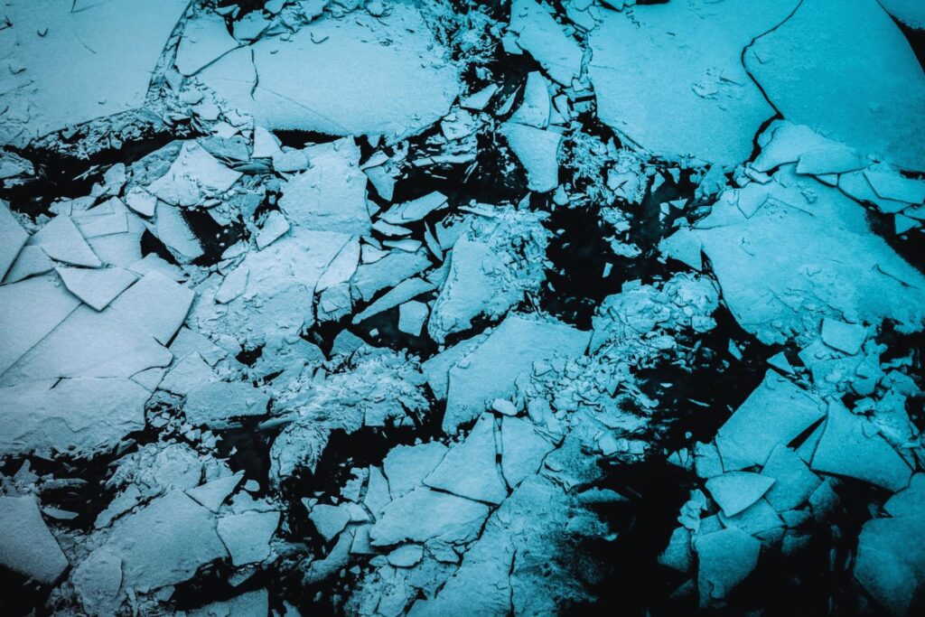 Un fragmento de mandíbula en Groenlandia abrió una grieta en la historia de los mamíferos: el fósil que acorta millones de años de evolución
