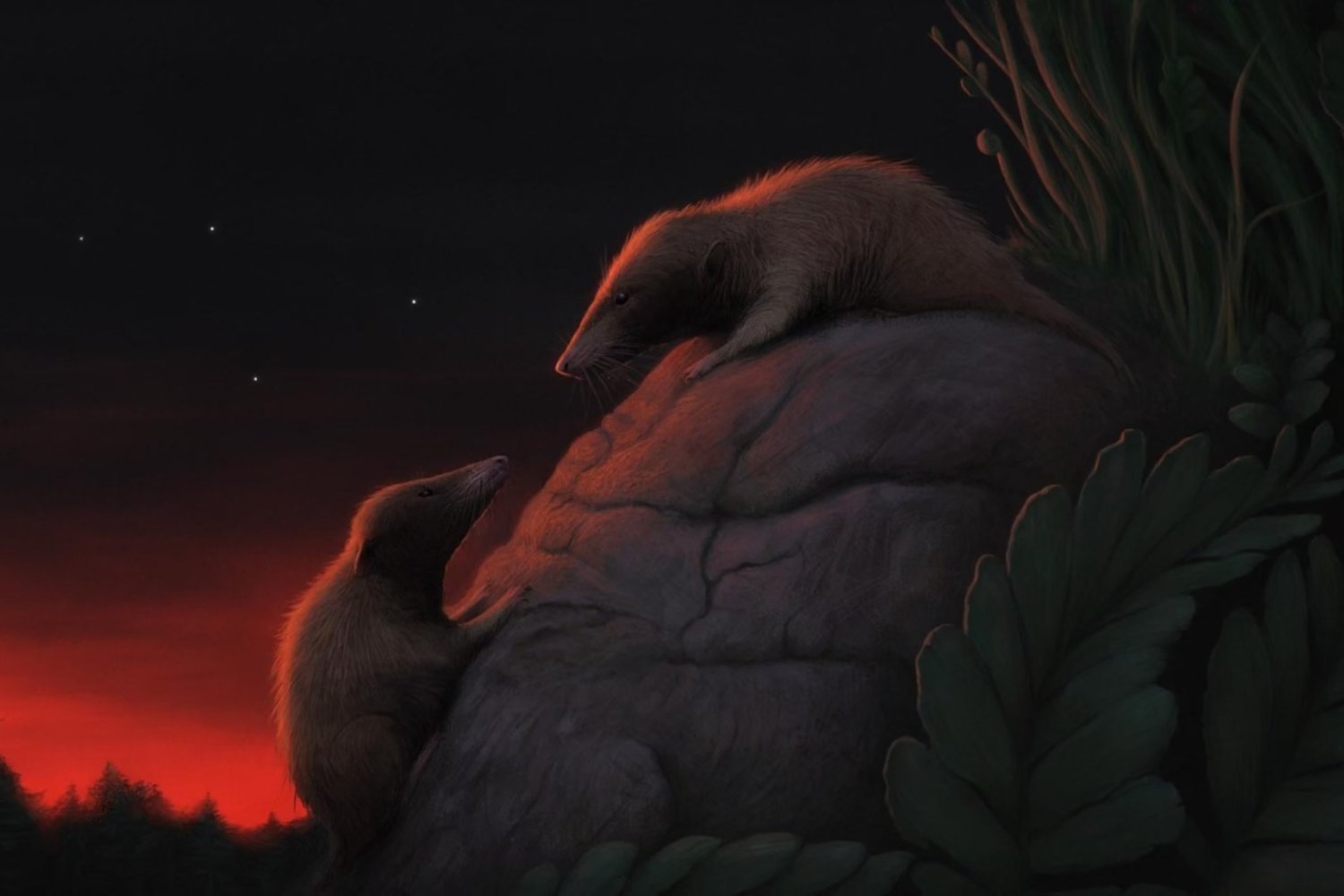 Un fragmento de mandíbula en Groenlandia abrió una grieta en la historia de los mamíferos: el fósil que acorta millones de años de evolución