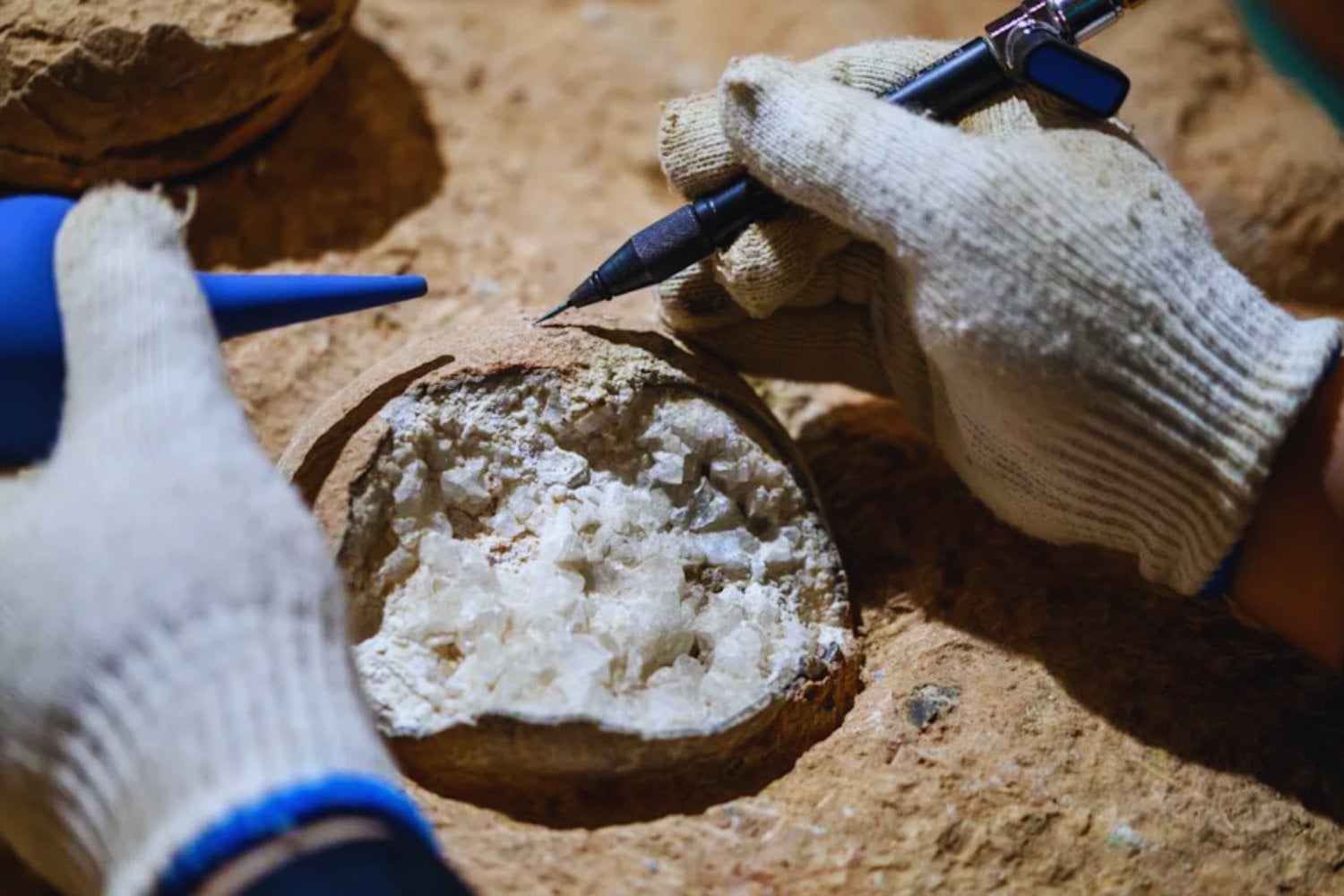 El secreto que guardaban unos huevos fósiles. Una ventana inesperada al clima del Cretácico