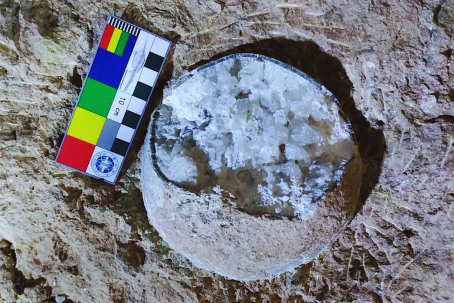 El secreto que guardaban unos huevos fósiles. Una ventana inesperada al clima del Cretácico
