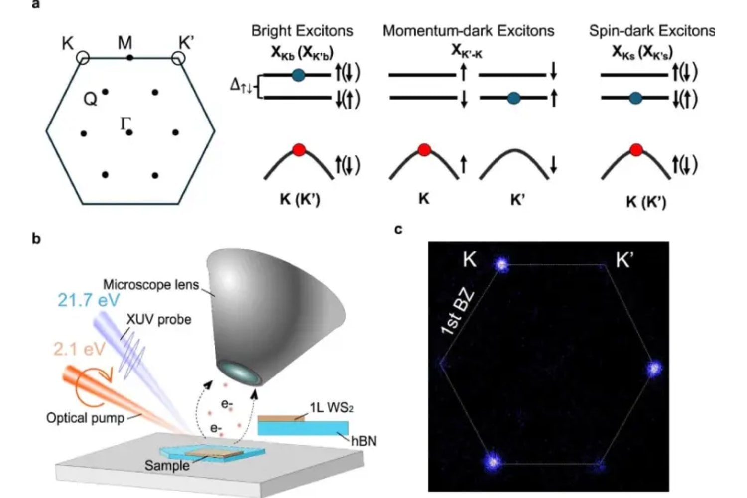Descubren cómo controlar excitones oscuros, las partículas invisibles que podrían sostener la próxima revolución cuántica