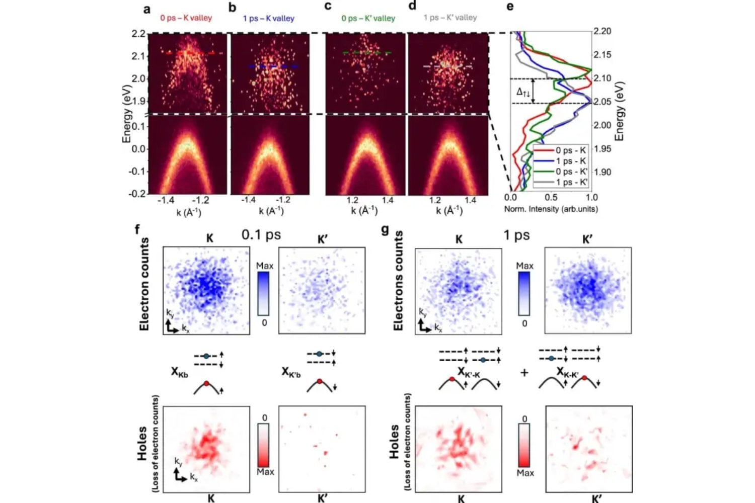 Descubren cómo controlar excitones oscuros, las partículas invisibles que podrían sostener la próxima revolución cuántica