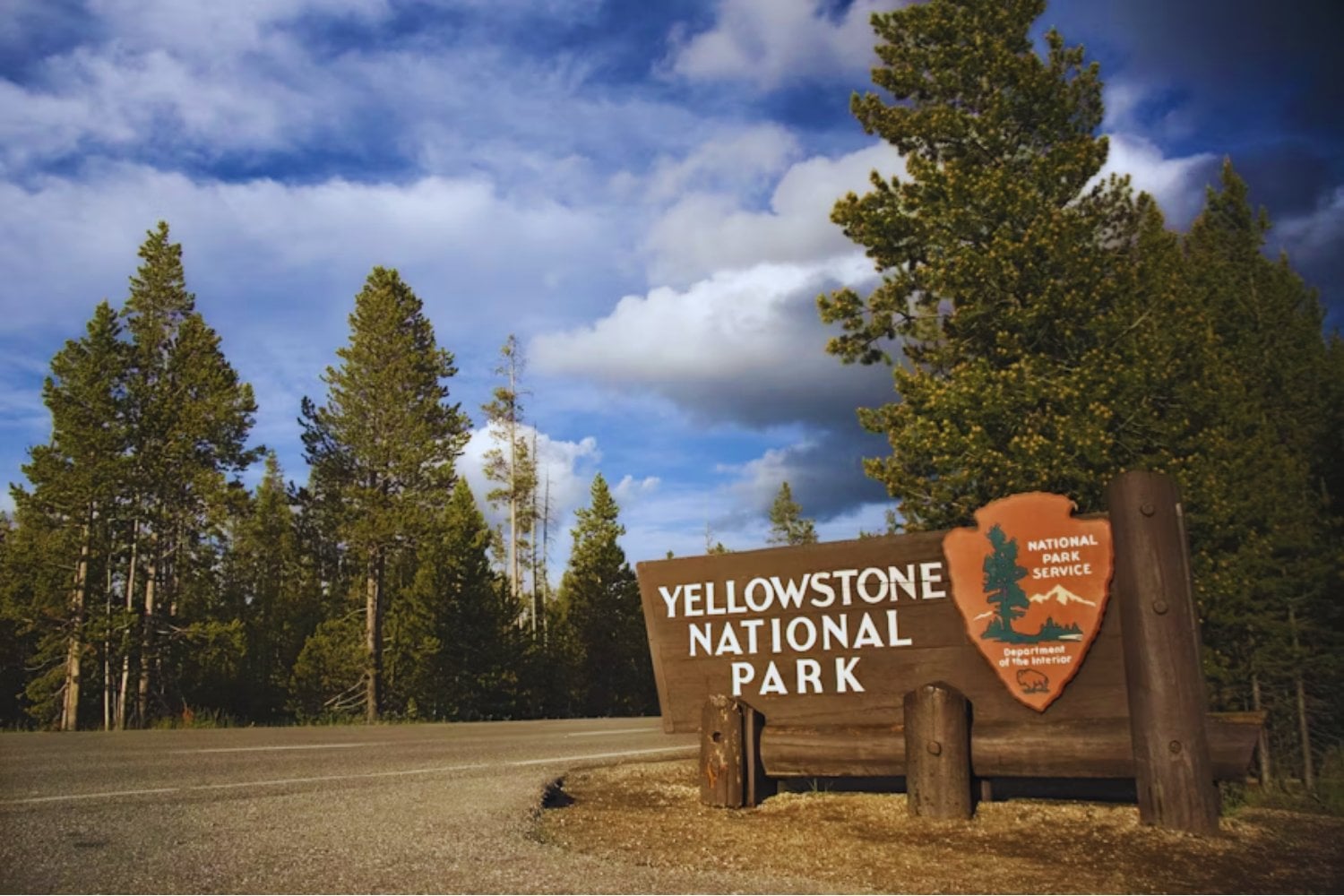 El misterio de Yellowstone: cómo un depredador casi olvidado logró cambiar el paisaje, traer de vuelta los bosques y revivir especies enteras