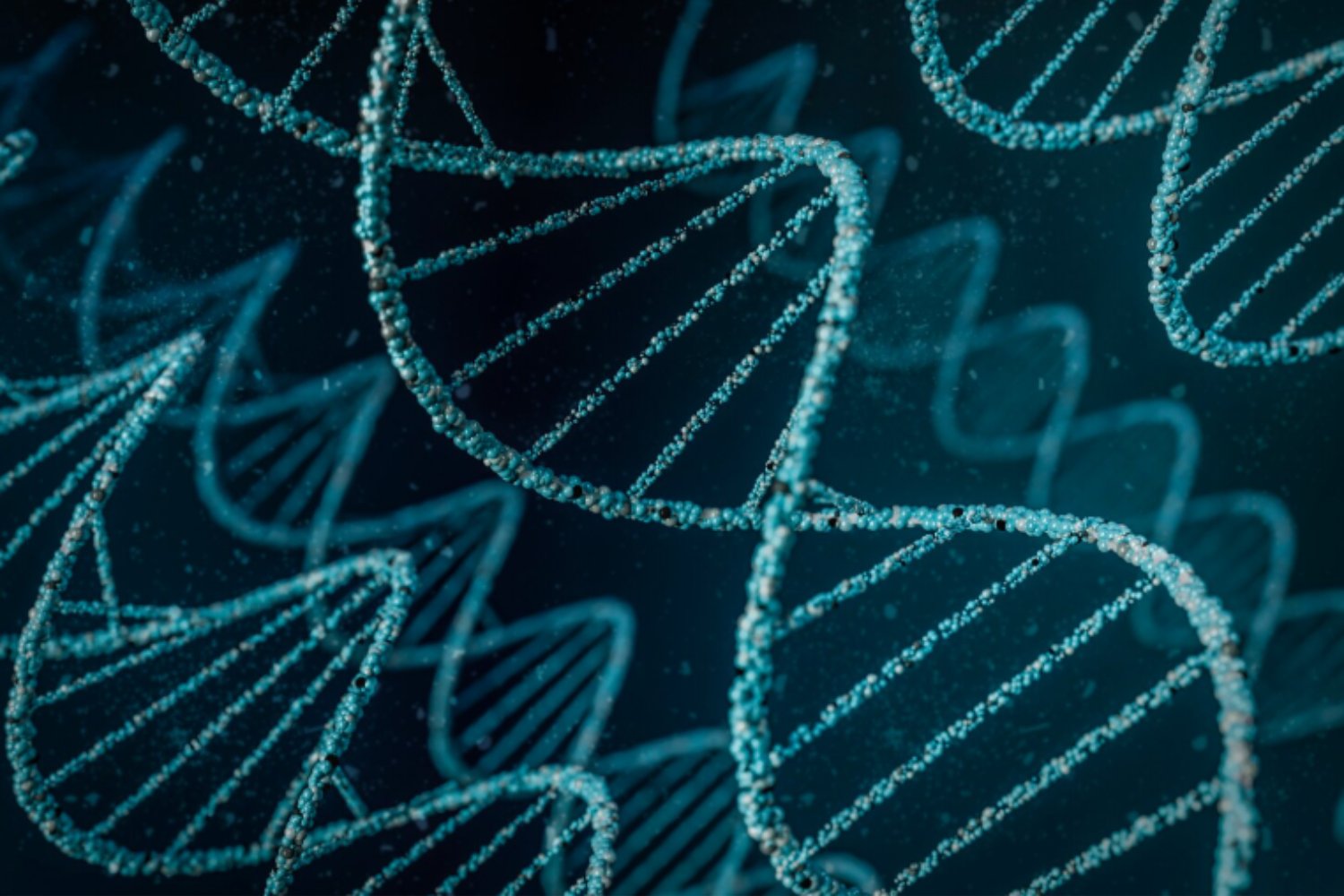 El atlas epigenético más grande jamás creado revela los secretos del envejecimiento en nuestro ADN