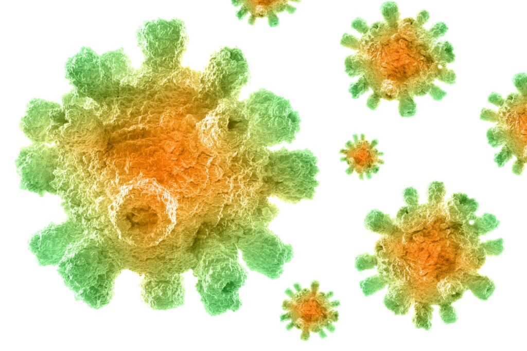 Cuando las defensas envejecen: así se arruga también el sistema inmune