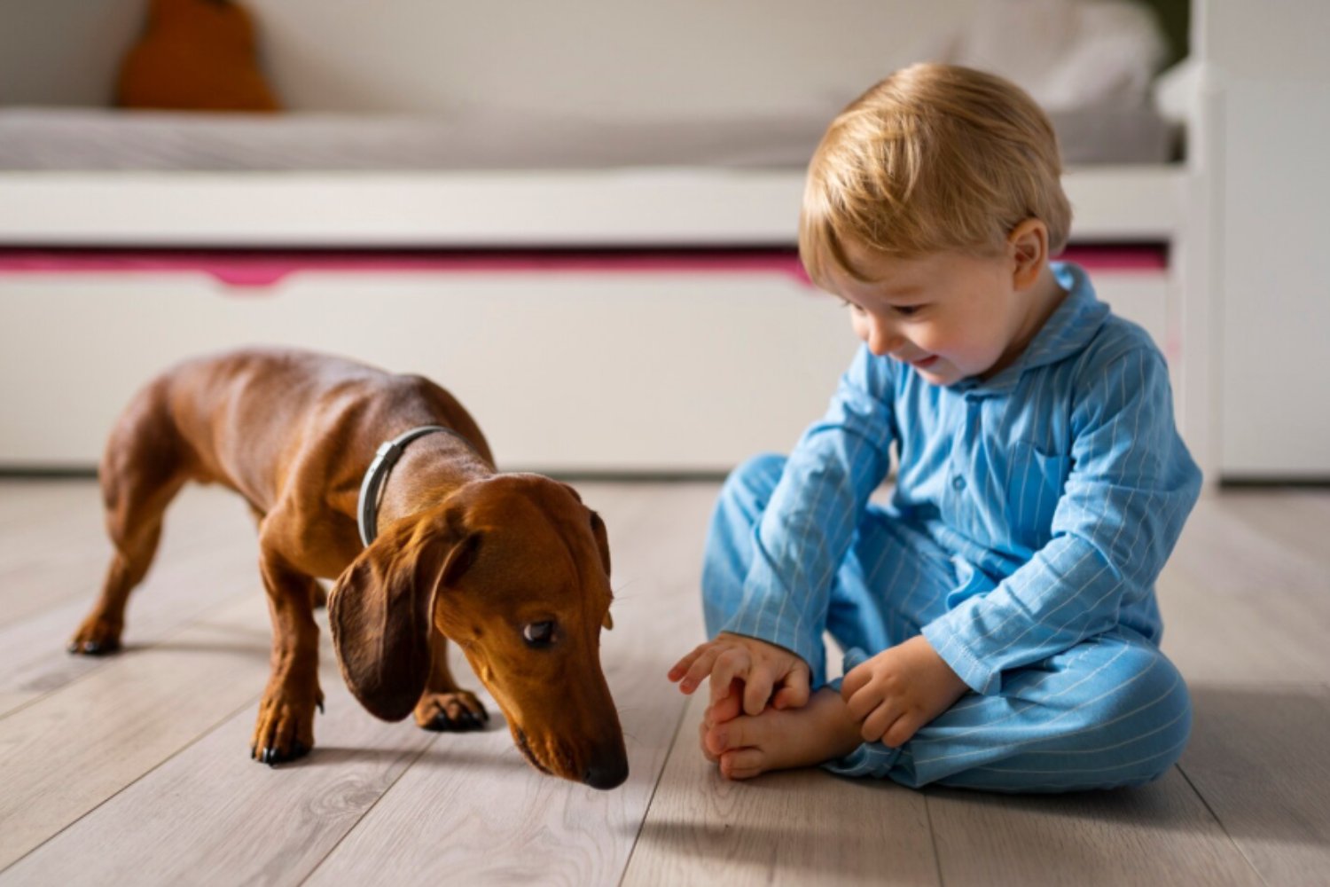 La ciencia investiga los beneficios de convivir con perros para la salud respiratoria en la infancia